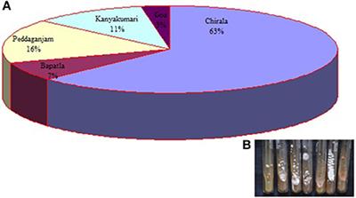 Biological Significance of Marine Actinobacteria of East Coast of Andhra Pradesh, India